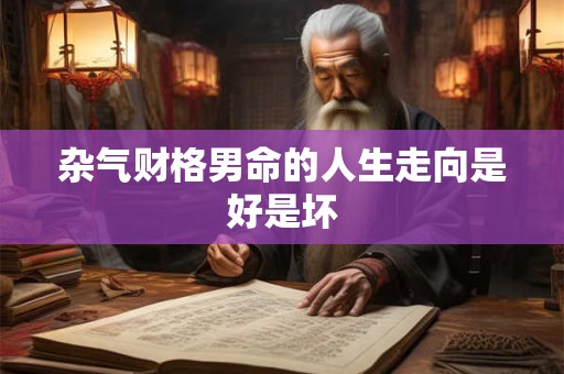 杂气财格男命的人生走向是好是坏