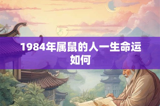 1984年属鼠的人一生命运如何