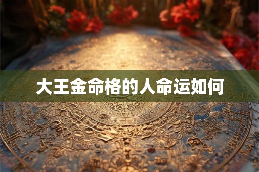 大王金命格的人命运如何