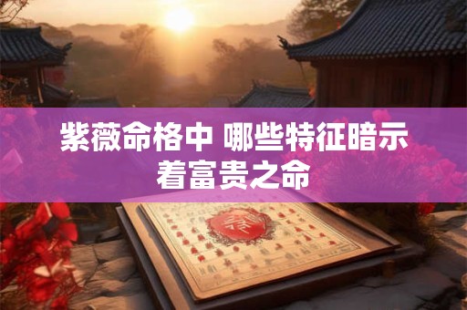 紫薇命格中 哪些特征暗示着富贵之命