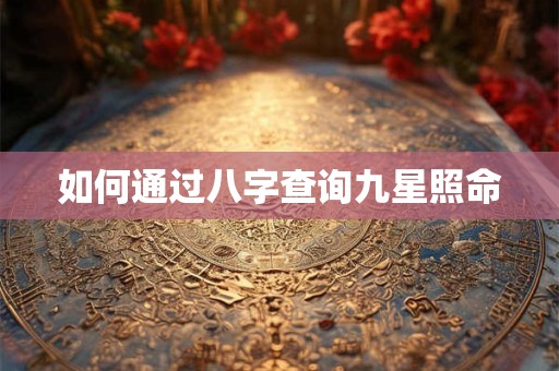 如何通过八字查询九星照命