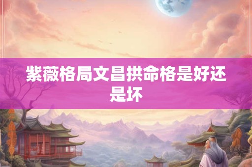 紫薇格局文昌拱命格是好还是坏