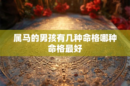 属马的男孩有几种命格哪种命格最好