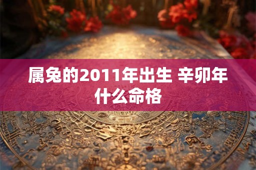 属兔的2011年出生 辛卯年什么命格