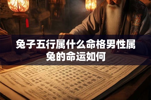 兔子五行属什么命格男性属兔的命运如何