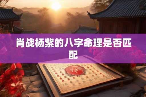 肖战杨紫的八字命理是否匹配