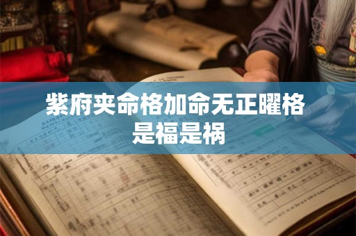 紫府夹命格加命无正曜格 是福是祸