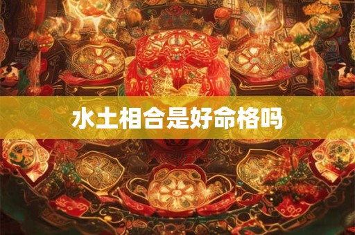 水土相合是好命格吗