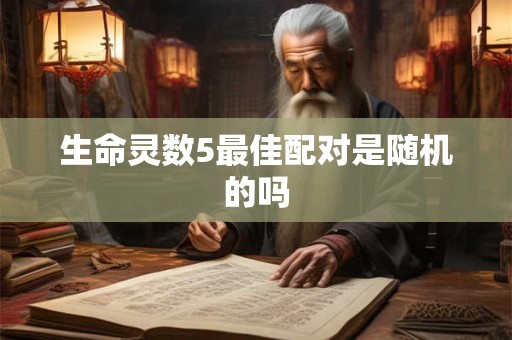 生命灵数5最佳配对是随机的吗