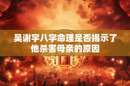 吴谢宇八字命理是否揭示了他杀害母亲的原因