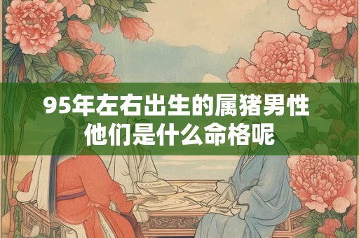 95年左右出生的属猪男性 他们是什么命格呢