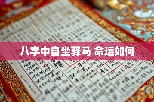 八字中自坐驿马 命运如何 八字中自坐驿马 命运如何