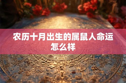 农历十月出生的属鼠人命运怎么样