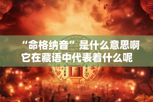 “命格纳音”是什么意思啊它在藏语中代表着什么呢