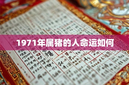 1971年属猪的人命运如何