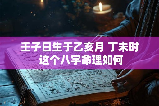 壬子日生于乙亥月 丁未时 这个八字命理如何