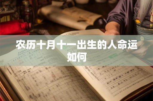 农历十月十一出生的人命运如何
