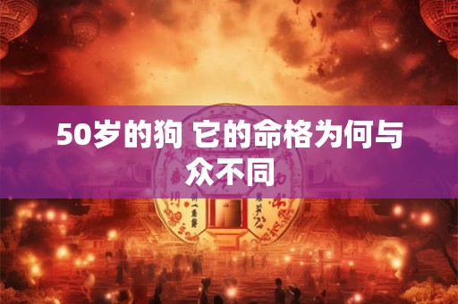 50岁的狗 它的命格为何与众不同