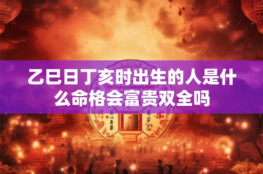乙巳日丁亥时出生的人是什么命格会富贵双全吗