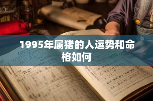 1995年属猪的人运势和命格如何