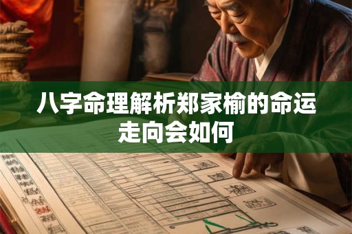 八字命理解析郑家榆的命运走向会如何