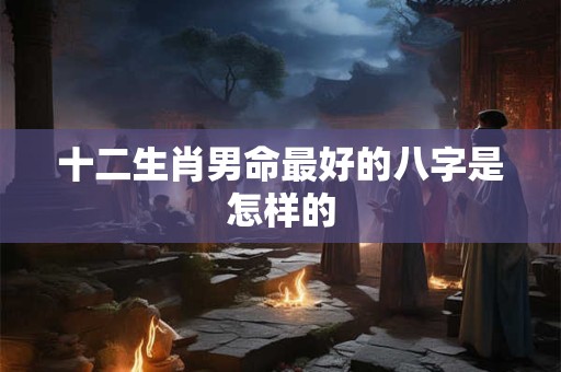 十二生肖男命最好的八字是怎样的 十二生肖男命最好的八字是怎样的