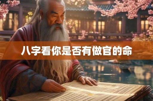 八字看你是否有做官的命