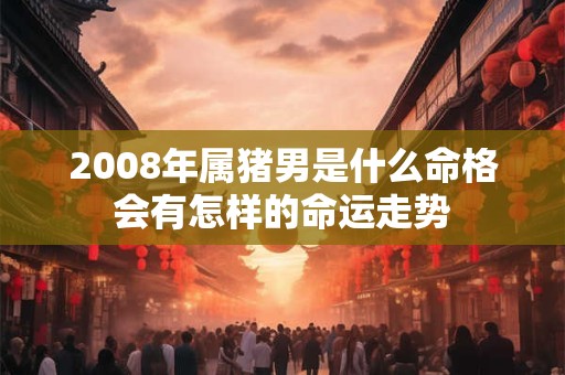 2008年属猪男是什么命格会有怎样的命运走势