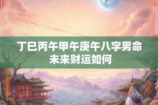 丁巳丙午甲午庚午八字男命 未来财运如何