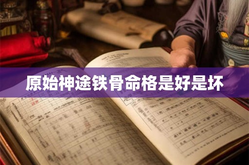 原始神途铁骨命格是好是坏