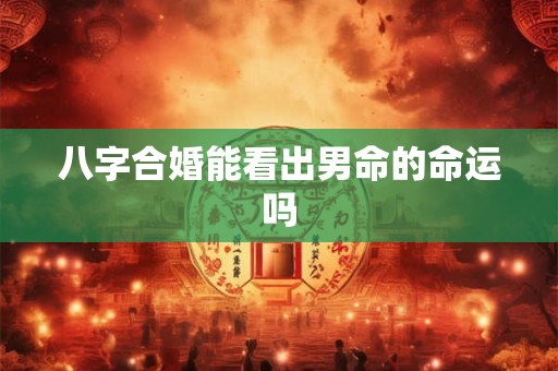 八字合婚能看出男命的命运吗