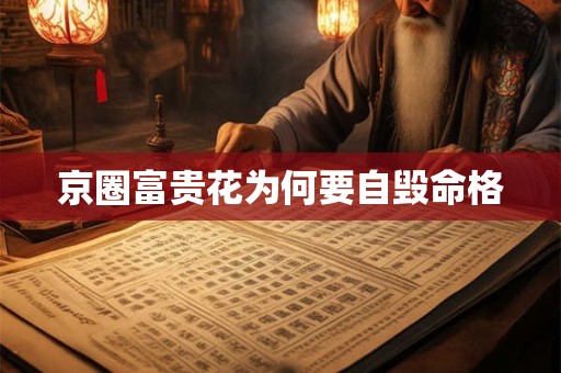 京圈富贵花为何要自毁命格