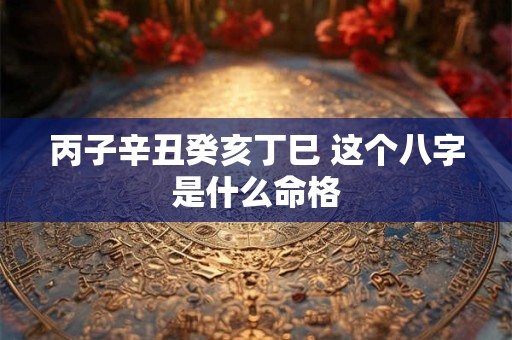 丙子辛丑癸亥丁巳 这个八字是什么命格
