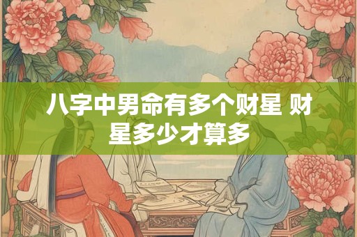 八字中男命有多个财星 财星多少才算多