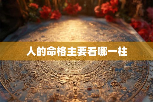 人的命格主要看哪一柱