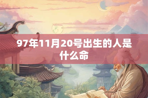 97年11月20号出生的人是什么命