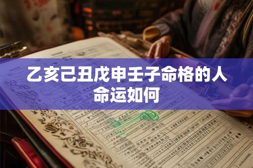 乙亥己丑戊申壬子命格的人命运如何