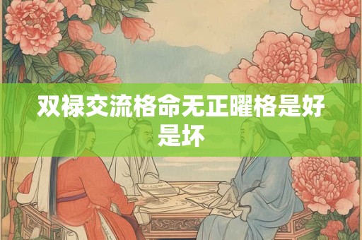 双禄交流格命无正曜格是好是坏