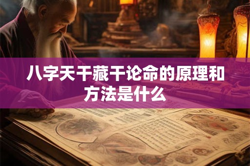 八字天干藏干论命的原理和方法是什么