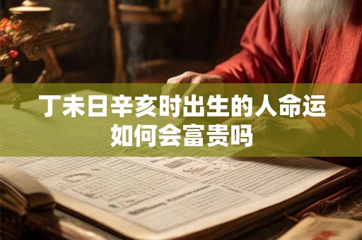 丁未日辛亥时出生的人命运如何会富贵吗
