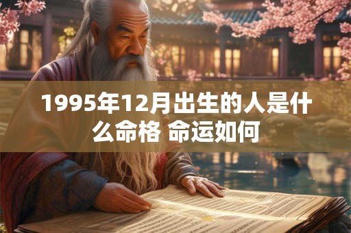 1995年12月出生的人是什么命格 命运如何 1995年12月出生的人是什么命格 命运如何
