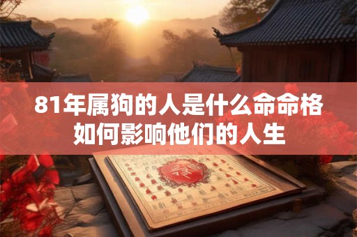 81年属狗的人是什么命命格如何影响他们的人生