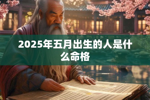 2025年五月出生的人是什么命格