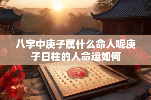 八字中庚子属什么命人呢庚子日柱的人命运如何