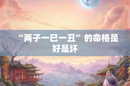 “两子一巳一丑”的命格是好是坏