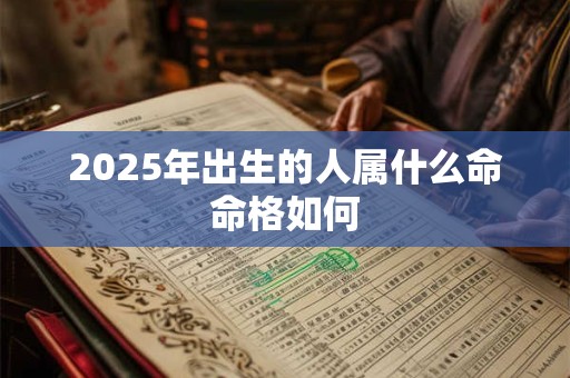 2025年出生的人属什么命命格如何