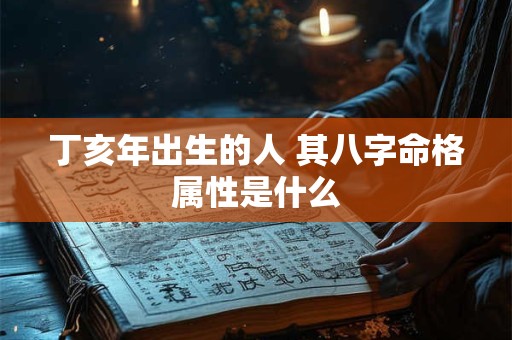 丁亥年出生的人 其八字命格属性是什么