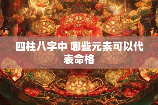 四柱八字中 哪些元素可以代表命格