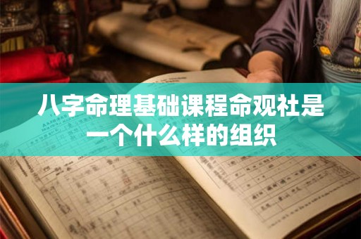 八字命理基础课程命观社是一个什么样的组织