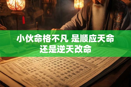 小伙命格不凡 是顺应天命还是逆天改命
